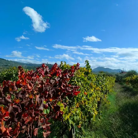La Casa Vecchia Bed & Breakfast Caniparola di Fosdinovo