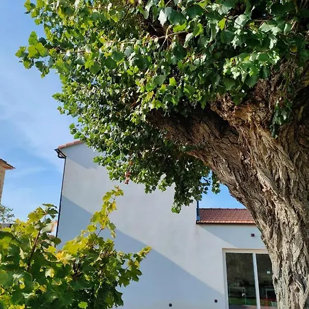 Bed & Breakfast La Casa Vecchia *