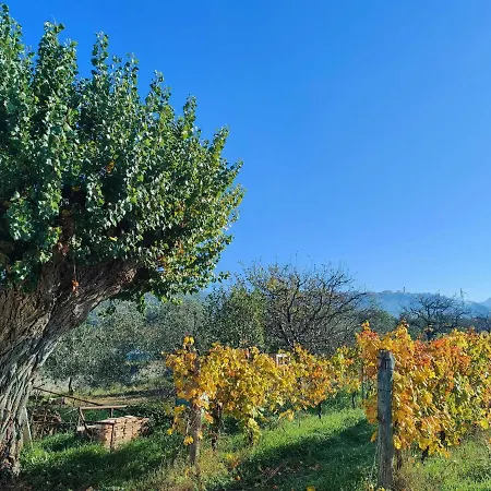Bed & Breakfast La Casa Vecchia