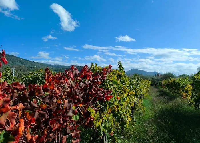 La Casa Vecchia Bed & Breakfast Caniparola di Fosdinovo