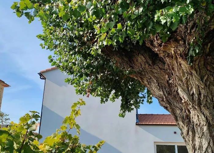 Bed & Breakfast La Casa Vecchia 3*